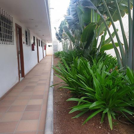 El Apartamento De Concha San Agustín Dış mekan fotoğraf